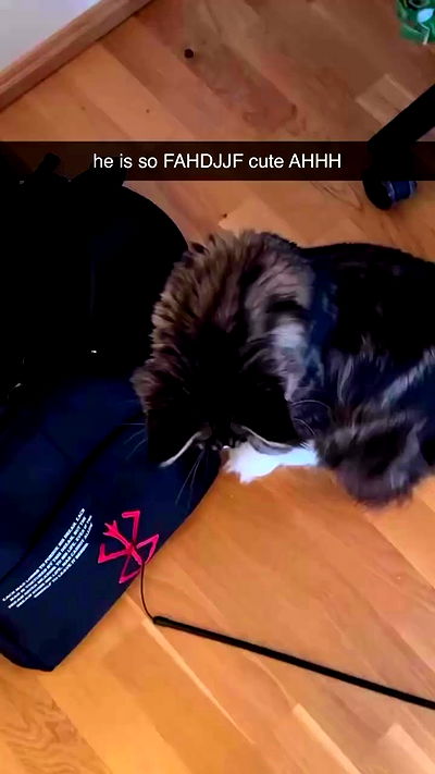 silkton silkton archive video