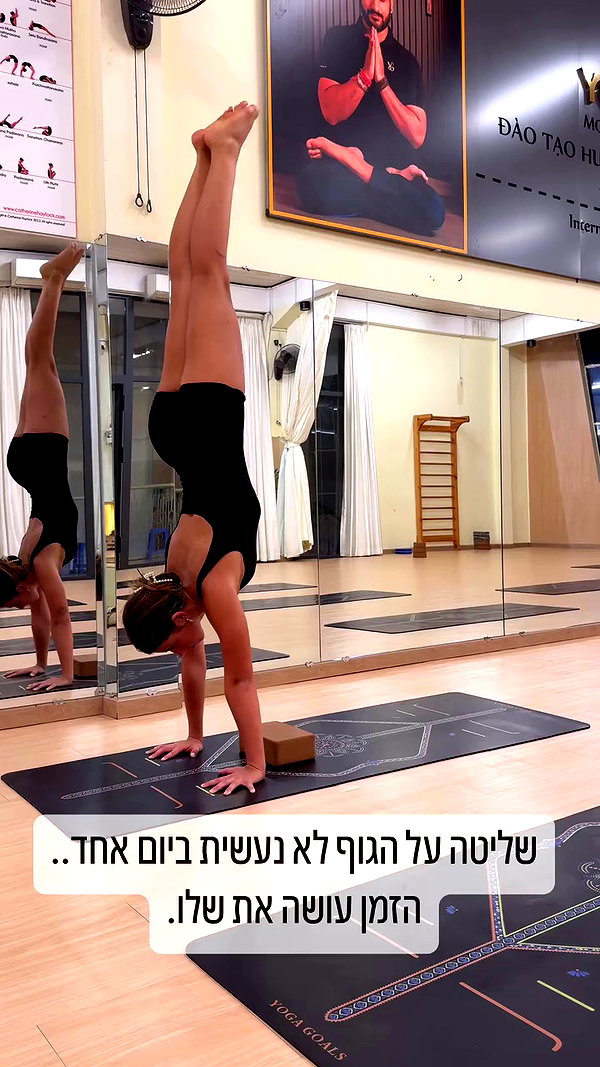 liad.arazi archive video preview