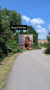zz.eazoning Altpins Profile Picture