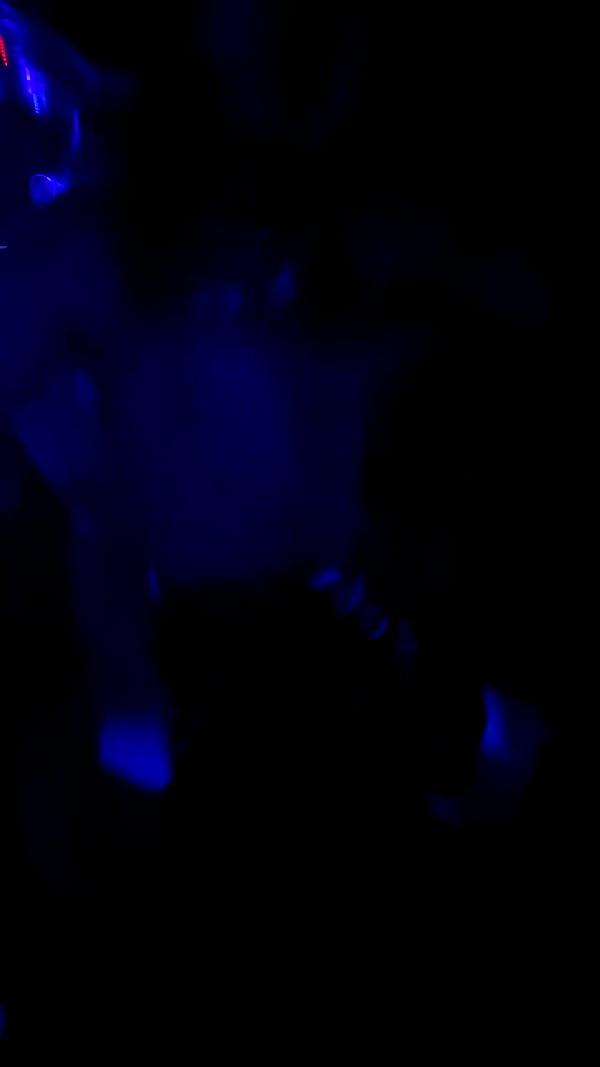 carolinesometimes archive video preview