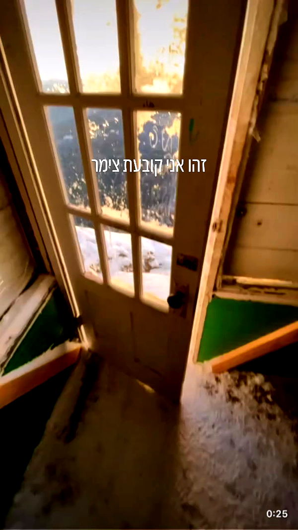 liashaked archive video preview