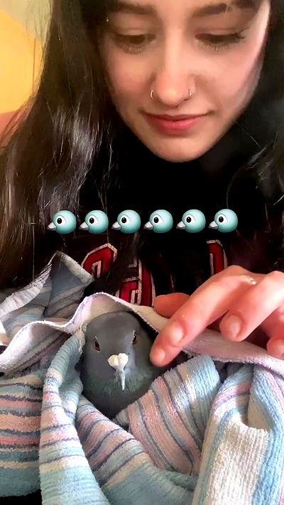 feelbetterinmysweater feelbetterinmysweater archive video