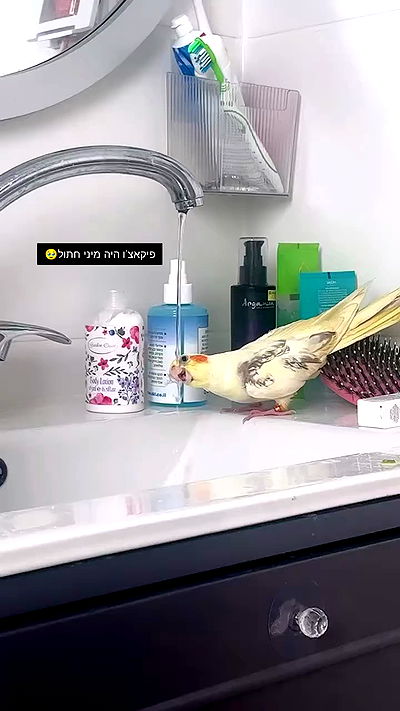 tinapavlov.sky tinapavlov.sky archive video