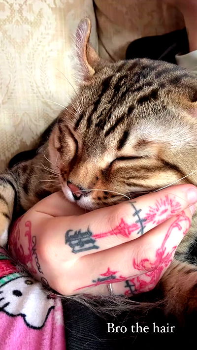 laurinchhhe laurinchhhe archive video