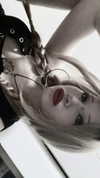 xylia444 Altpins Profile Picture