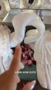gabannalisa Altpins Profile Picture