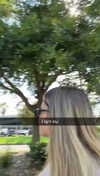 gabannalisa Altpins Profile Picture