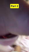 gabannalisa Altpins Profile Picture