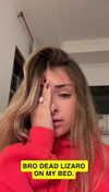 gabannalisa Altpins Profile Picture