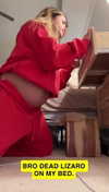 gabannalisa Altpins Profile Picture
