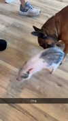 gabannalisa Altpins Profile Picture