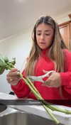 gabannalisa Altpins Profile Picture