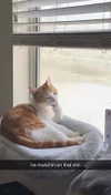 iwong.04 Altpins Profile Picture
