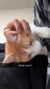 iwong.04 Altpins Profile Picture