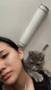 iwong.04 Altpins Profile Picture