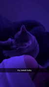 iwong.04 Altpins Profile Picture