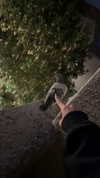 iwong.04 Altpins Profile Picture