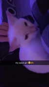 iwong.04 Altpins Profile Picture