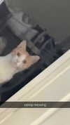 iwong.04 Altpins Profile Picture