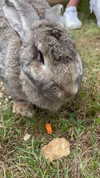 joell_perry Altpins Profile Picture