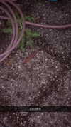 joell_perry Altpins Profile Picture