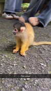 joell_perry Altpins Profile Picture