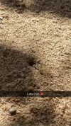 joell_perry Altpins Profile Picture