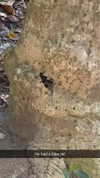 joell_perry Altpins Profile Picture