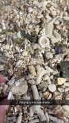 joell_perry Altpins Profile Picture