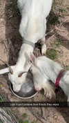 joell_perry Altpins Profile Picture