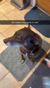 kaitlyn_krems Altpins Profile Picture