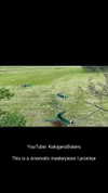 kalogerassunday Altpins Profile Picture