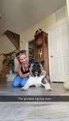 kayleedolisi Altpins Profile Picture