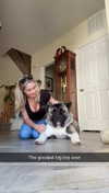kayleedolisi Altpins Profile Picture