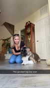 kayleedolisi Altpins Profile Picture