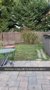 kayleedolisi Altpins Profile Picture