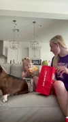 kendallwheelerr Altpins Profile Picture