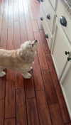 lew12001 Altpins Profile Picture