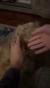 lew12001 Altpins Profile Picture