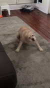 lew12001 Altpins Profile Picture