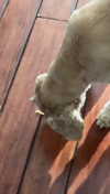 lew12001 Altpins Profile Picture