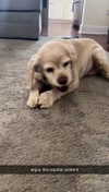 lew12001 Altpins Profile Picture