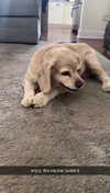 lew12001 Altpins Profile Picture