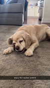 lew12001 Altpins Profile Picture
