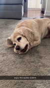 lew12001 Altpins Profile Picture