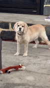 lew12001 Altpins Profile Picture
