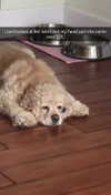 lew12001 Altpins Profile Picture