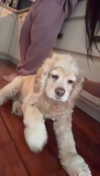 lew12001 Altpins Profile Picture