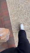 lew12001 Altpins Profile Picture