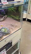lew12001 Altpins Profile Picture